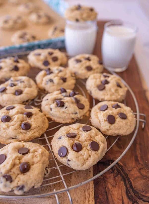 Sourdough Chocolate Chip Cookies — Bless this Mess