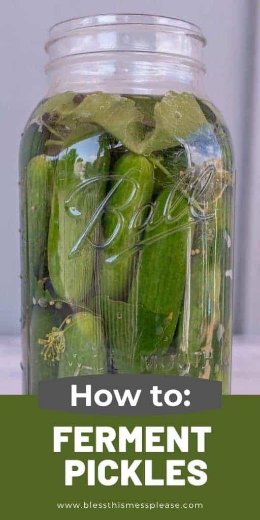 jar of pickles with text overlay