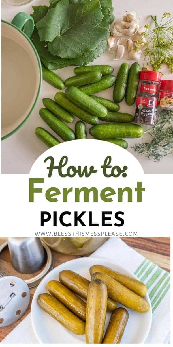 Easy Fermented Pickles — Bless this Mess