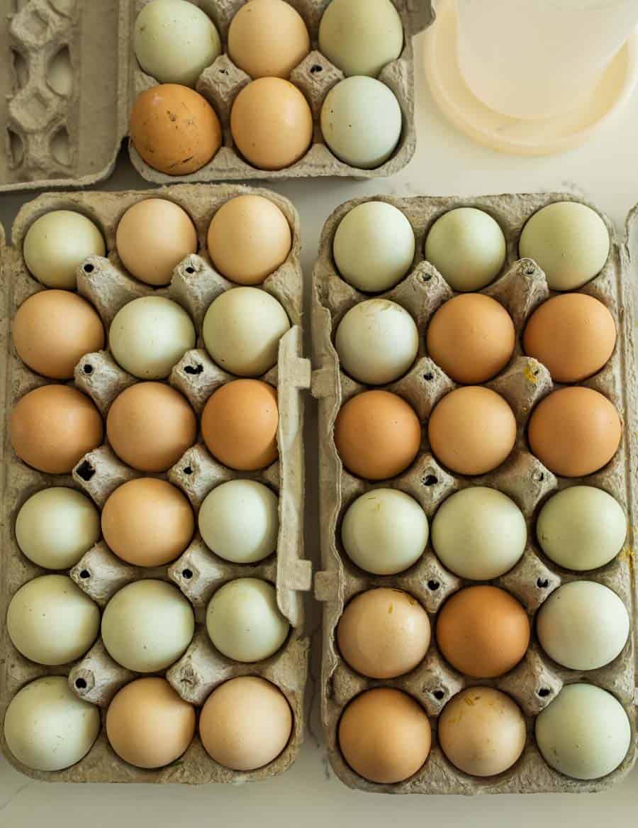 colorful eggs in cartons.