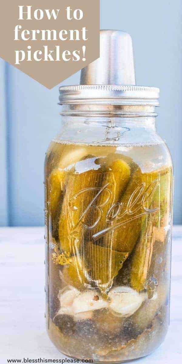 Easy Fermented Pickles Bless This Mess