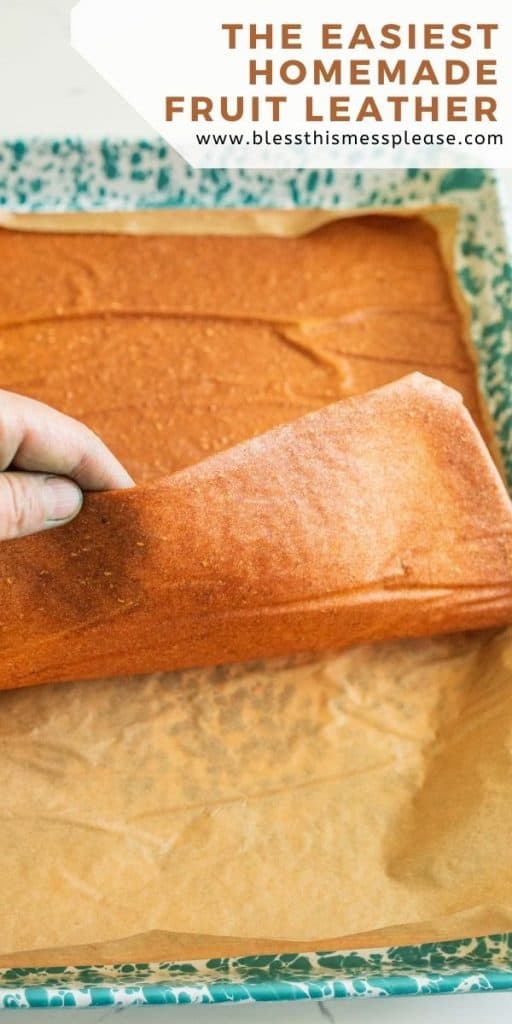 pin for how to make easy fruit leather recipe