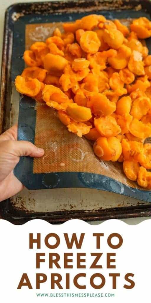 how to freeze apricot pin