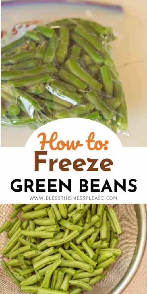 green beans in a freezer bag and in a strainer