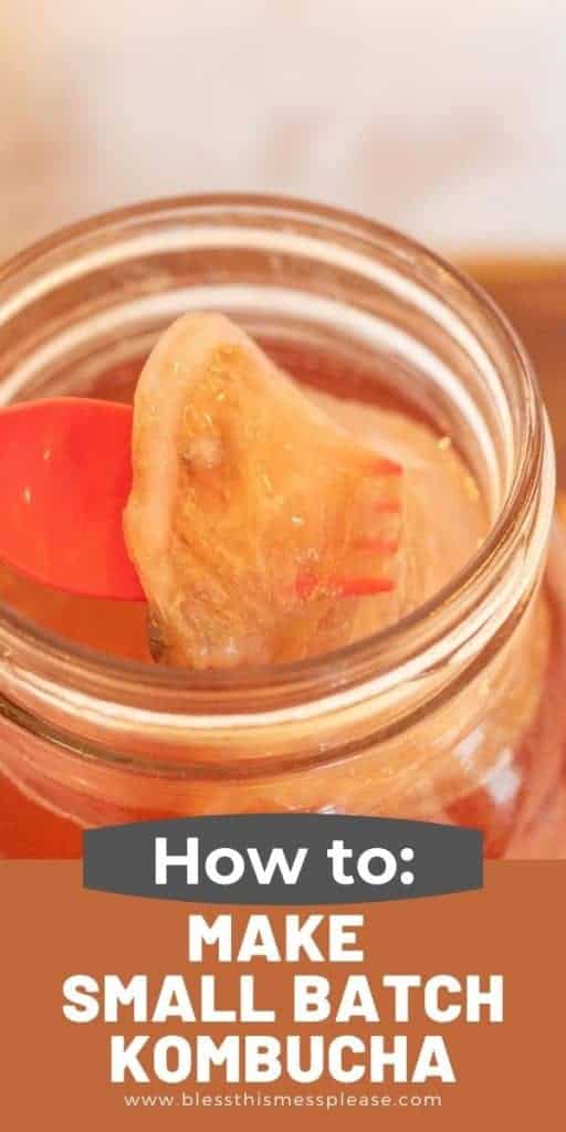 open mason jar of first ferment kombucha with SCOBY