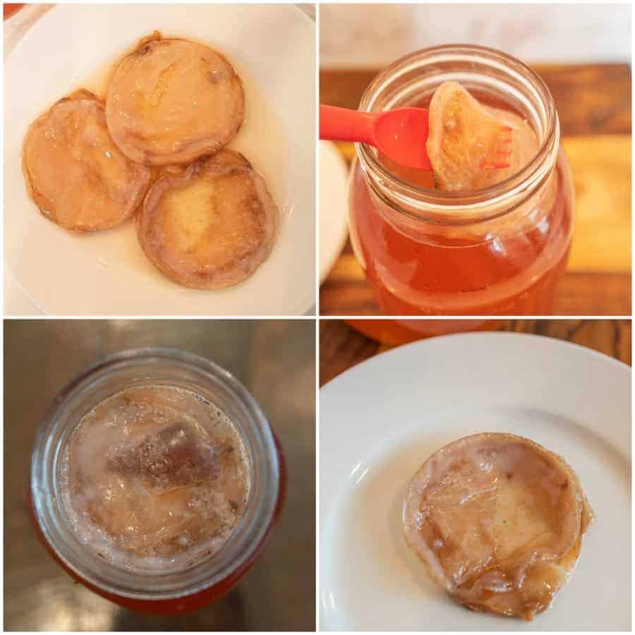 collage of kombucha SCOBY