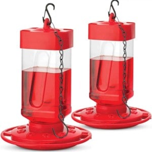 hummingbird feeders to buy plastic