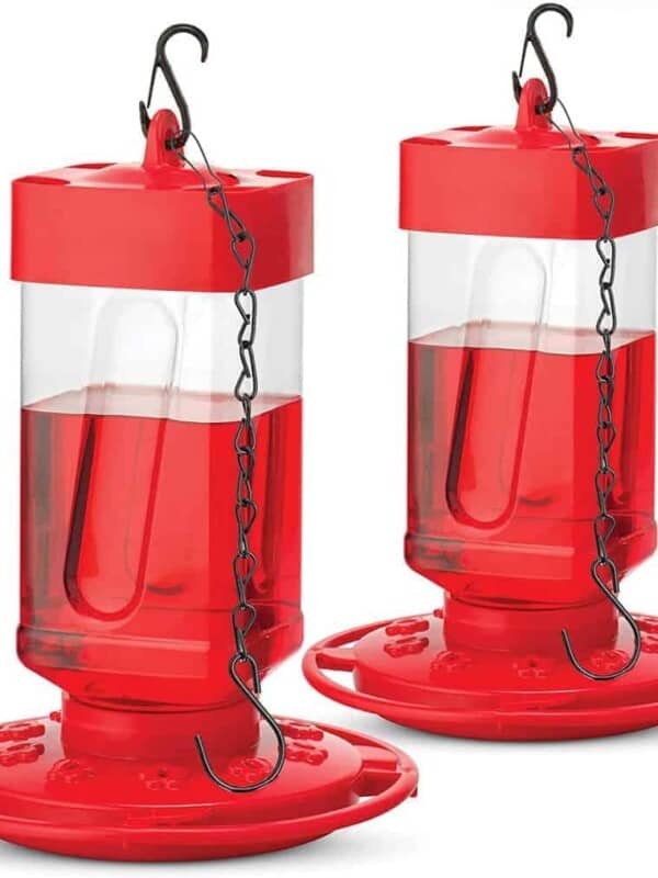 hummingbird feeders to buy plastic