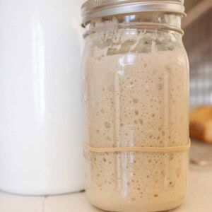 sourdough starter in a mason jar bubbly and perfect.