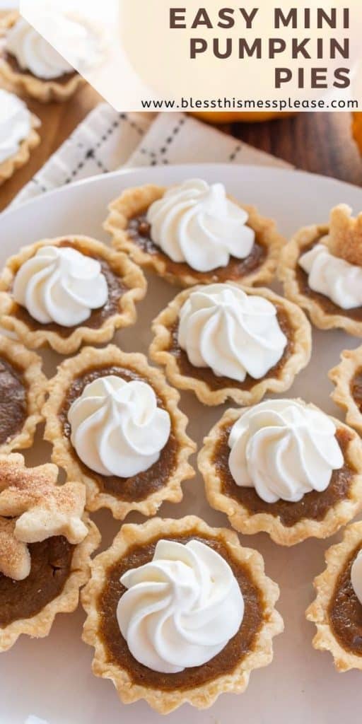 mini pumpkin pie recipe pin for pinterest