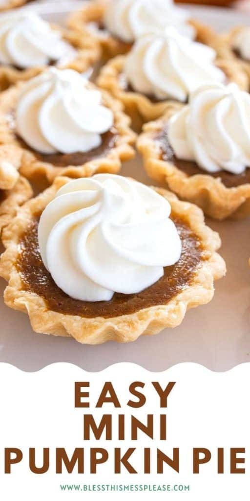 mini pumpkin pie recipe pin for pinterest