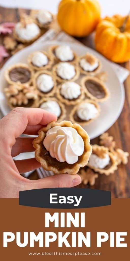 mini pumpkin pie recipe pin for pinterest