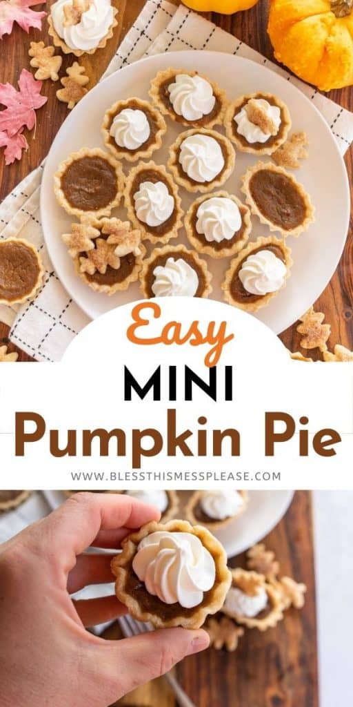 mini pumpkin pie recipe pin for pinterest