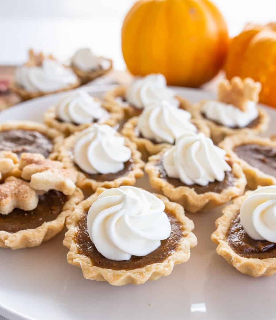 Mini pumpkin pies with whipped cream swirled on top and a pumpkin in the background.