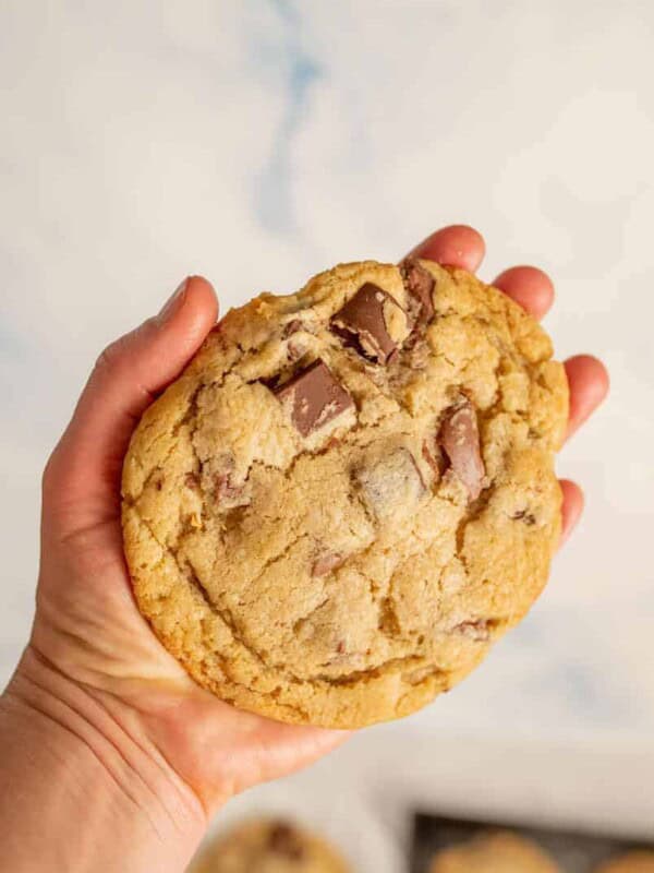 POV hand holding a huge chocolate chunk cookie that fills the palm