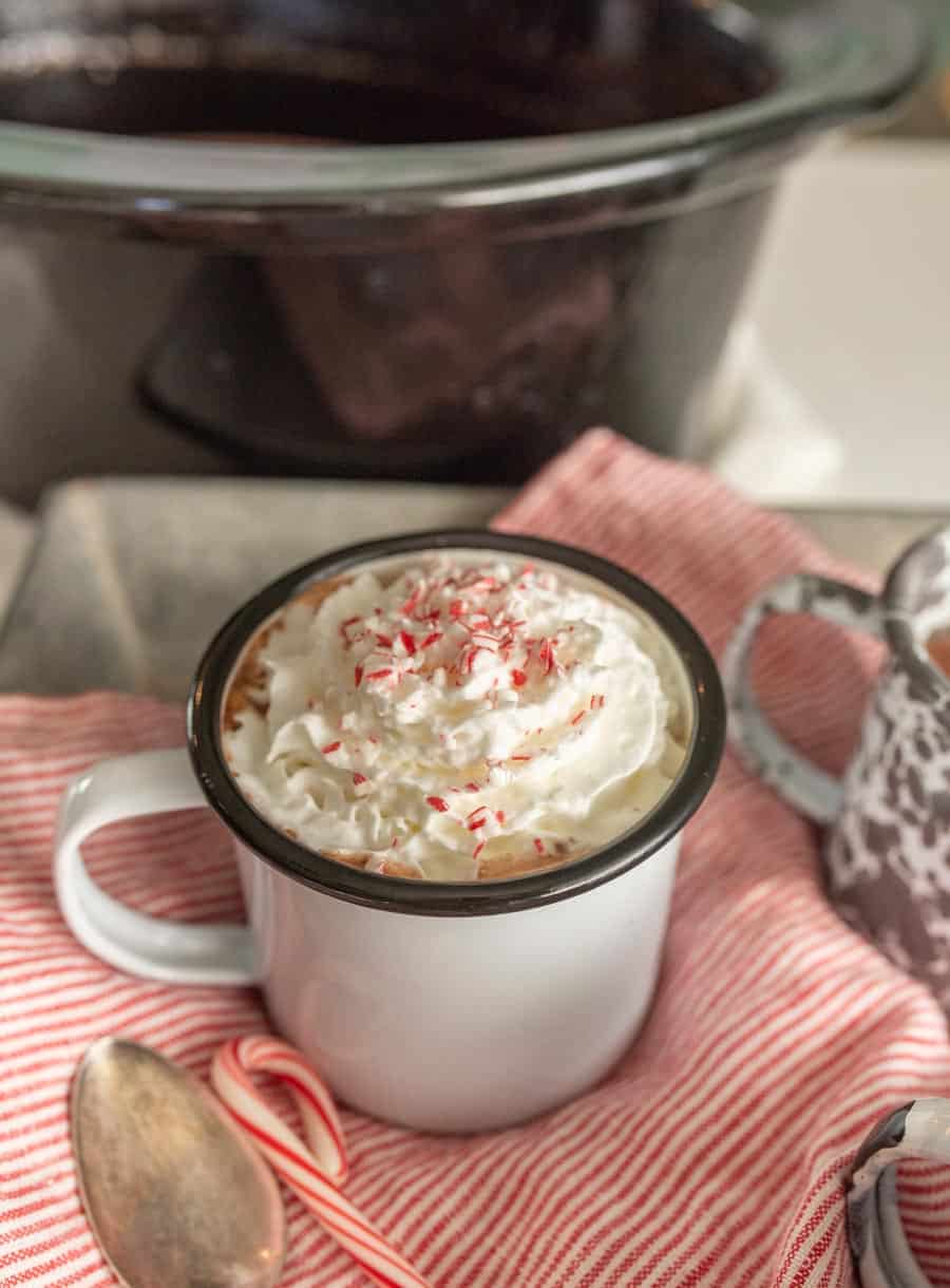 mug of crock pot hot chocolate with whipped cream on top
