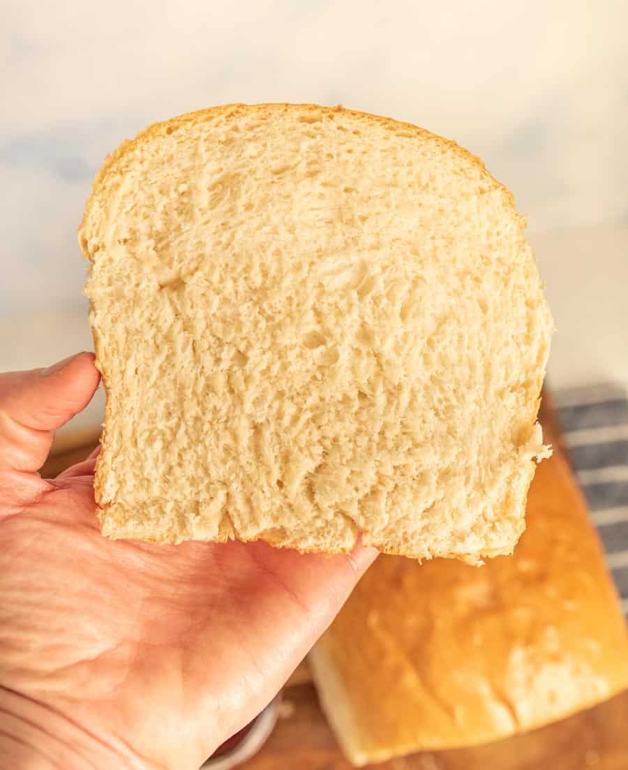 hand holding a slice of white sandwich bread