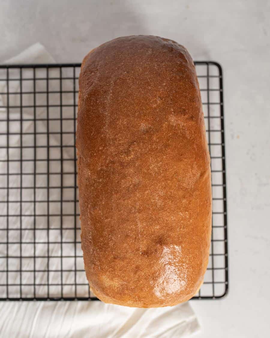 top view of loaf of whole wheat sandwich bread on cooling rack