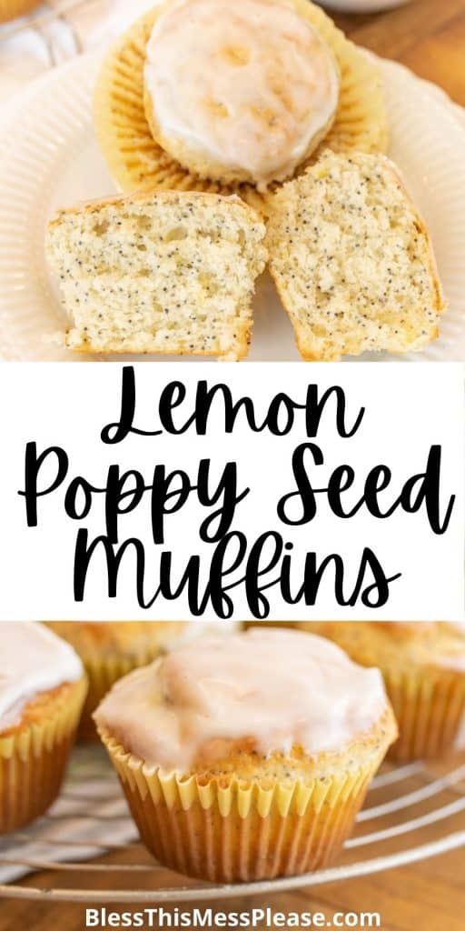 top picture is of a muffin cut in half and another muffin on a plate, bottom picture is an up close shot of a muffin with the words "lemon poppy seed muffins" written in the middle