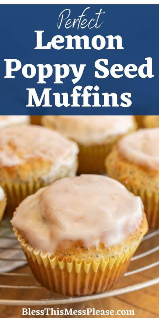 up close muffin with glaze on top and the words "perfect lemon poppy seed muffins" written at the top