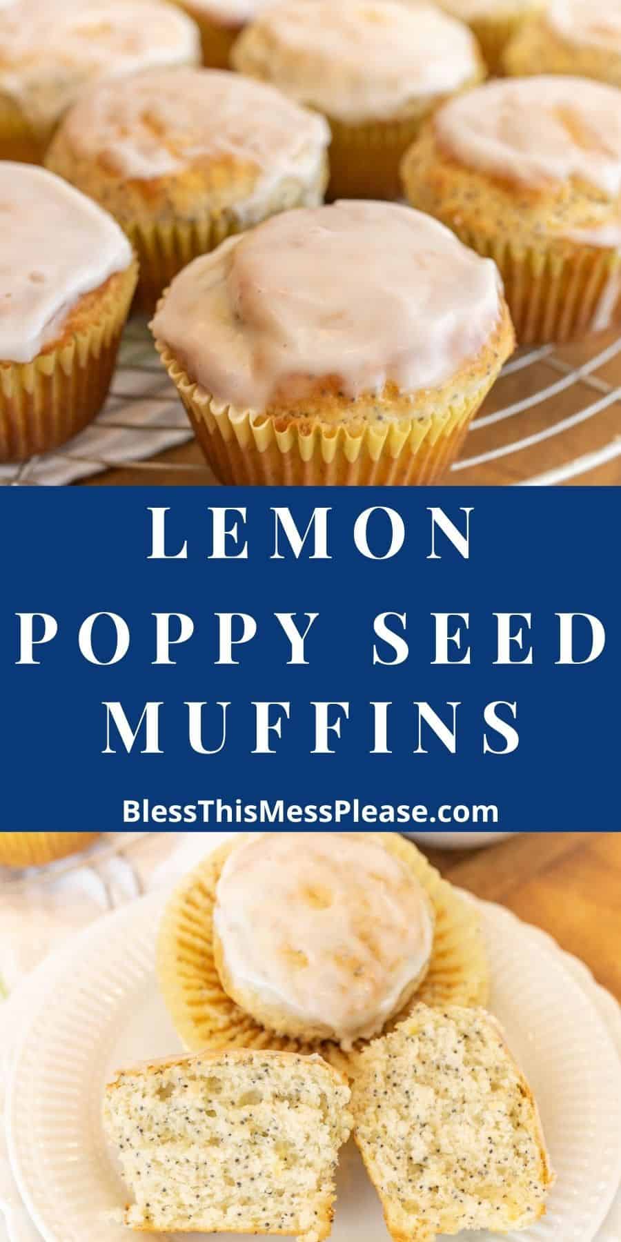 Lemon Poppy Seed Muffins — Bless this Mess