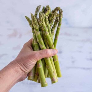 hand holding a bunch of asparagus for post teaching how to preserve asparagus.