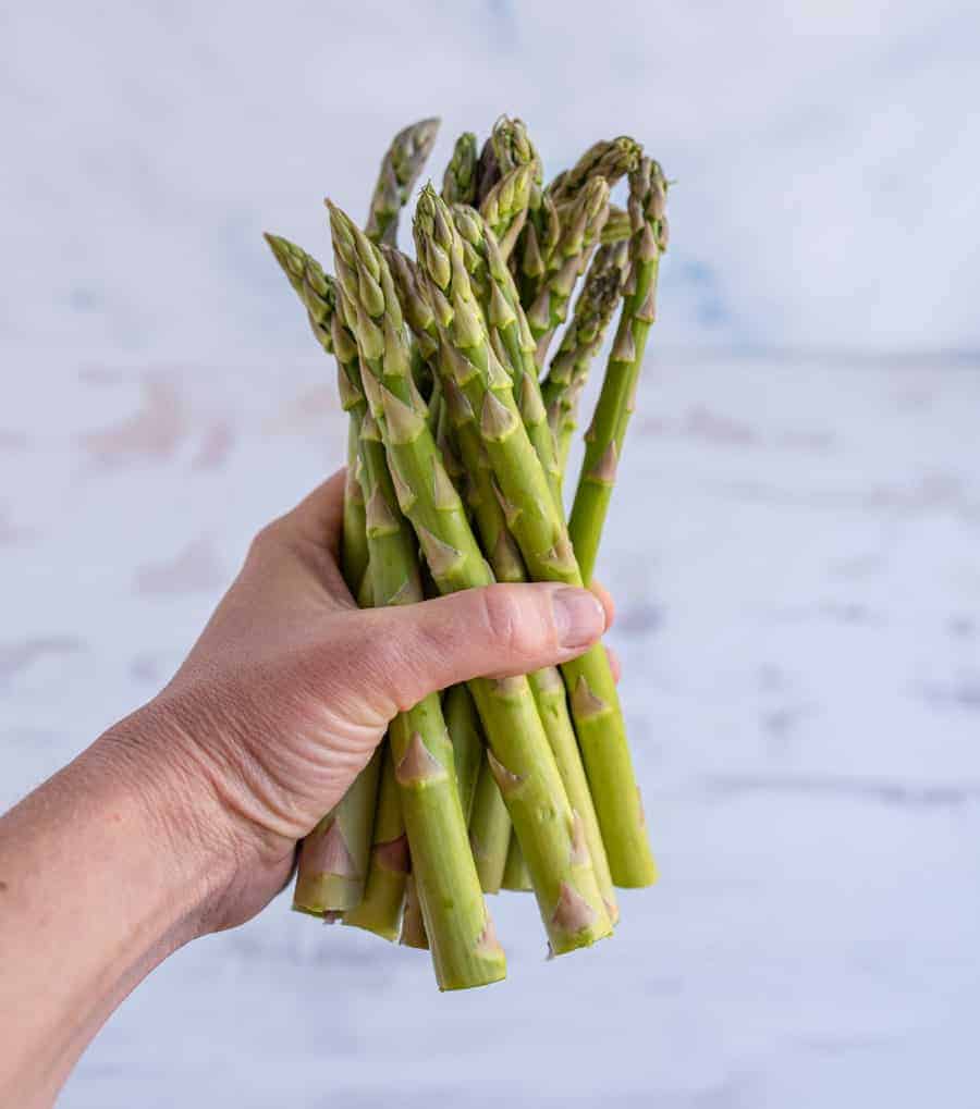 hand holding a bunch of asparagus