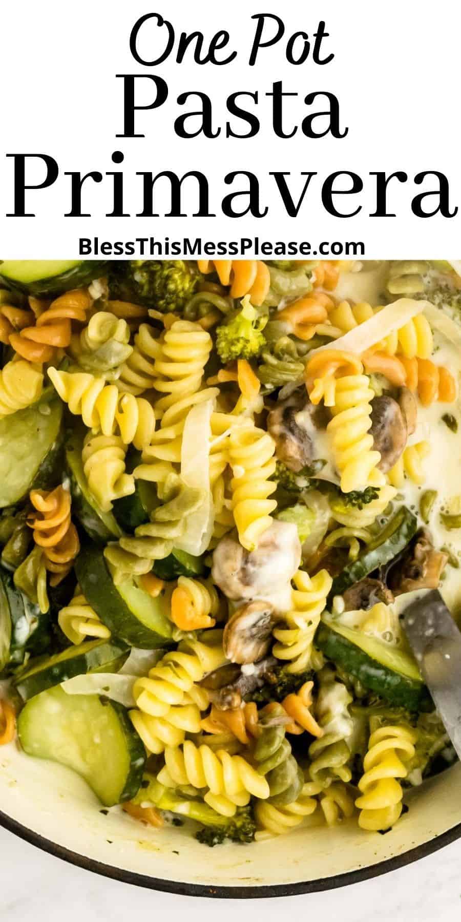 One Pot Pasta Primavera Homemade Vegetarian Pasta Dish