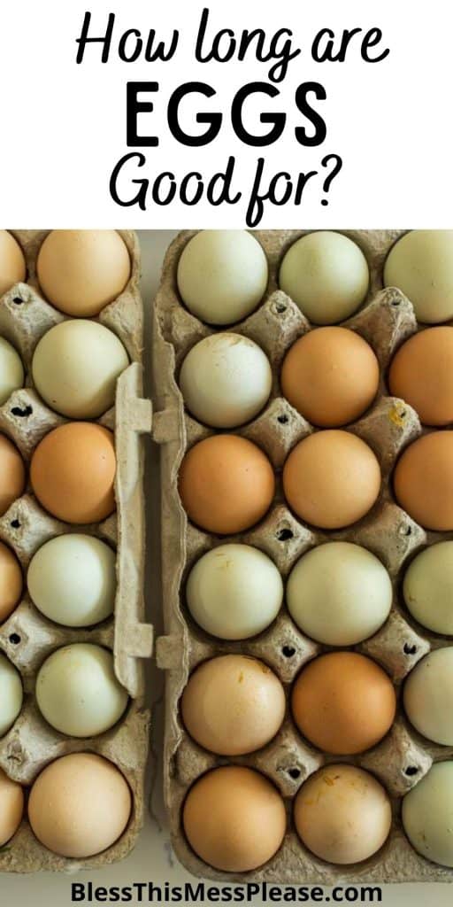 top view of eggs in cartons with the words "how long are eggs good for" written at the top