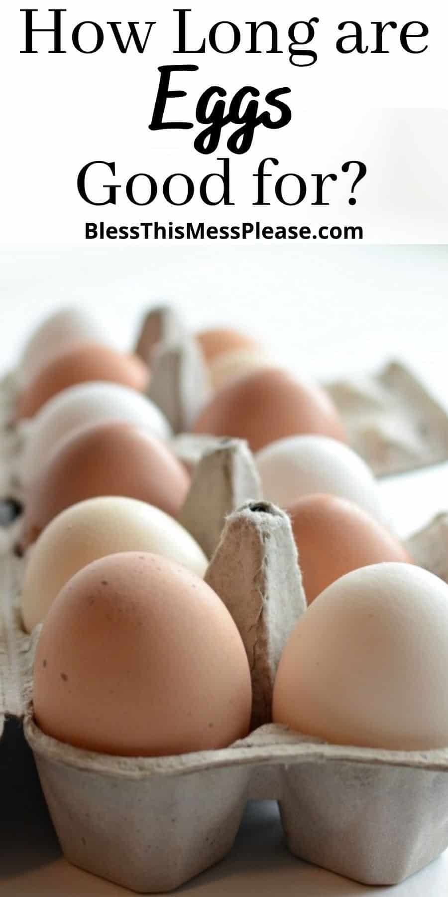 How Long Are Eggs Good For? Easy Egg Tips From Our Homestead