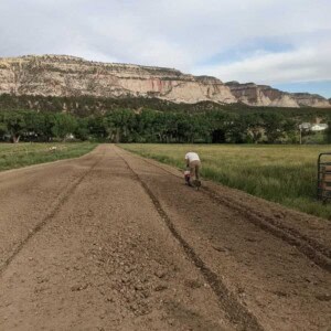 tilling up dirt