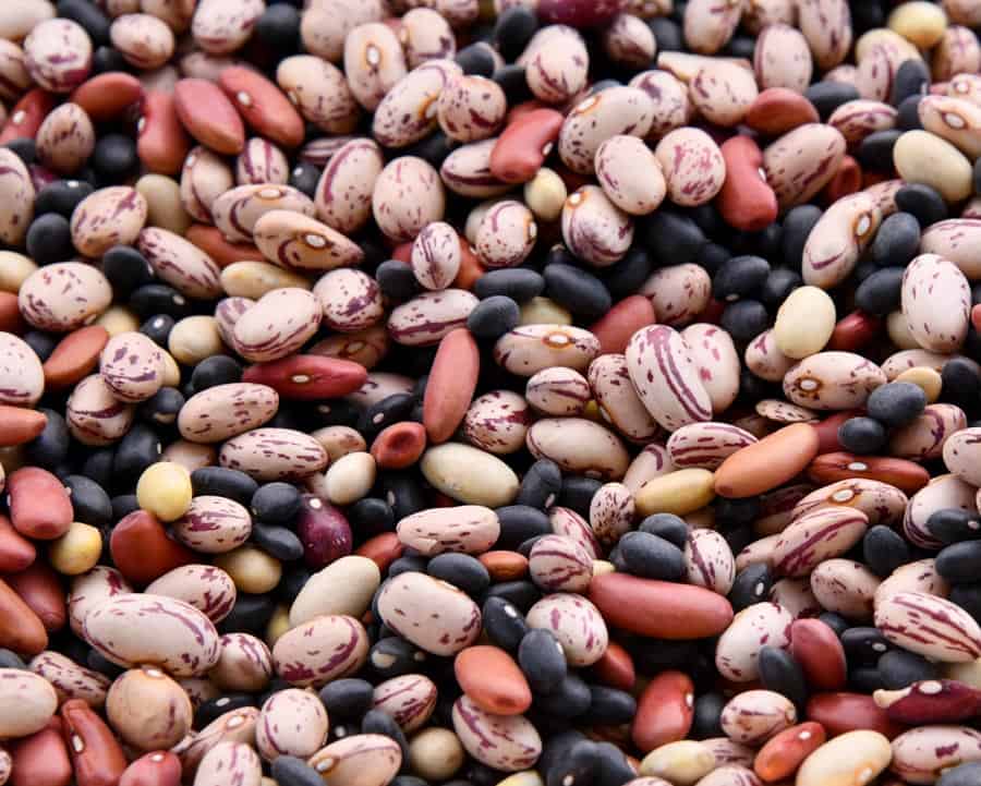 up close picture of a variety of dried beans