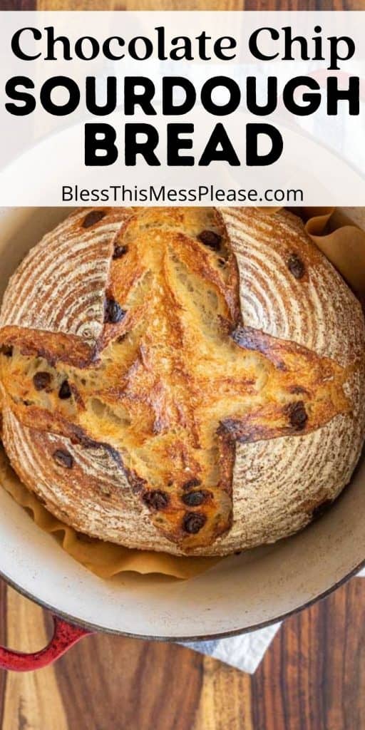 loaf of chocolate chip sourdough bread in a cast iron pot with the words "chocolate chip sourdough bread" written at the top