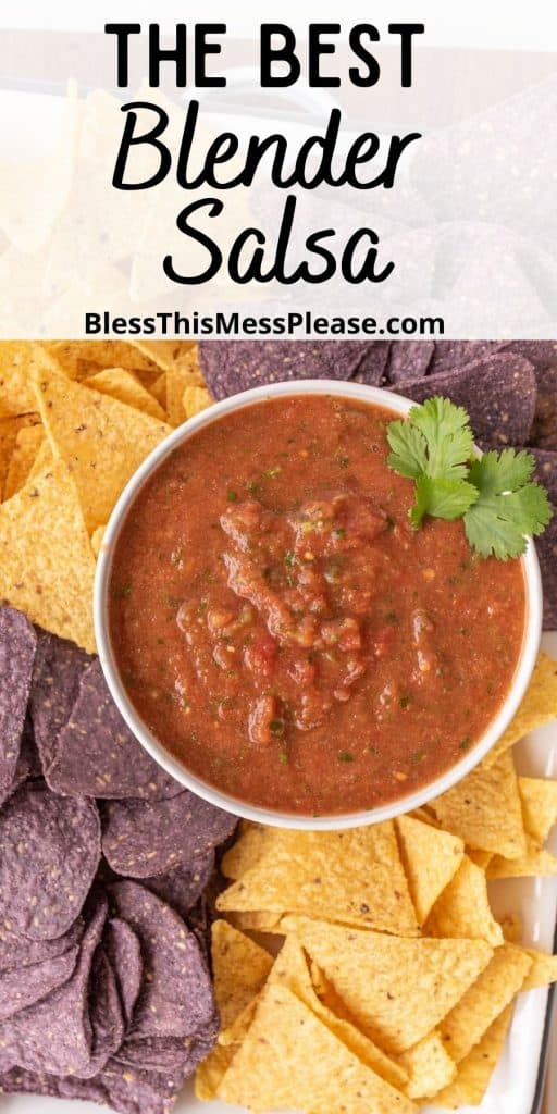 top view of a bowl of salsa surrounded by tortilla chips and the words "the best blender salsa" written at the top