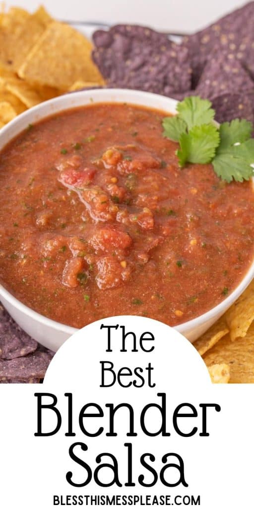 bowl of salsa with tortilla chips surrounding it and the words "the best blender salsa" written at the bottom