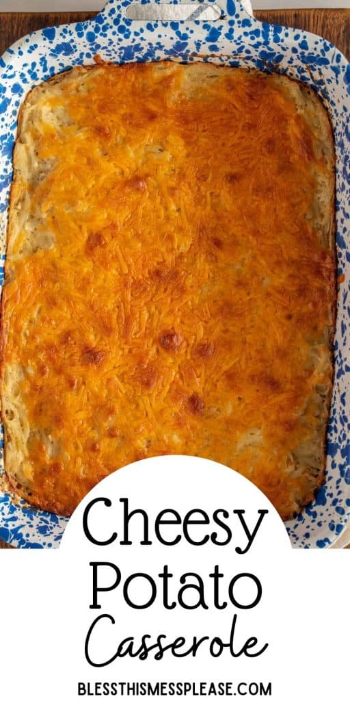 top view of cheesy potato casserole in a baking dish with the words "cheesy potato casserole" written at the bottom