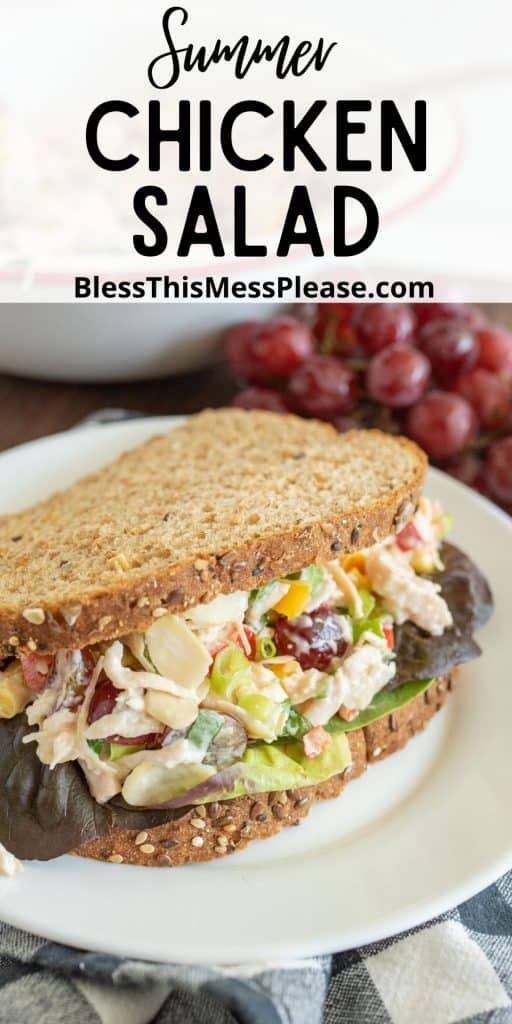 close up of a chicken salad sandwich on a plate with the words "summer chicken salad" written at the top