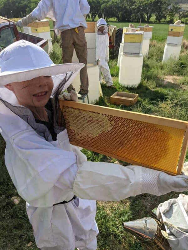 boy holding honeycomb