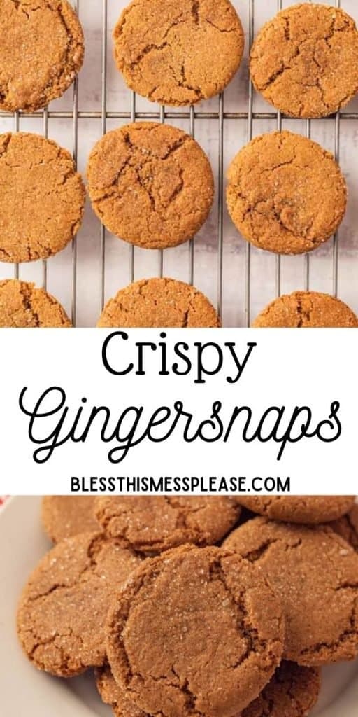 pinterest pin text that reads "crispy gingersnaps" - ginger cookies on a cooling rack