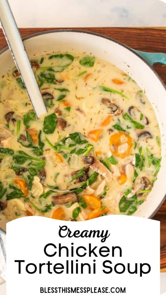 text reads "creamy chicken tortellini soup" with an image of a white ceramic serving bowl and a matching ladle with a creamy soup and veggies and spinach floating on the surface