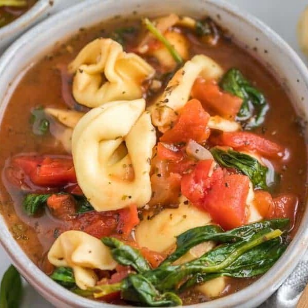 very close up of a small ceramic bowl of tortellini soup with tomatoes and spinach in great detail