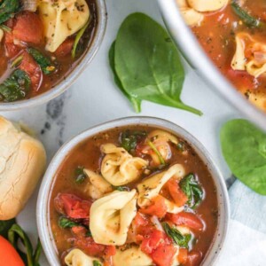 top view - very close up of a small ceramic bowl of tortellini soup with tomatoes and spinach in great detail
