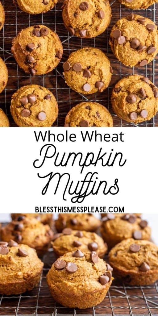 pinterest pin with text that reads "whole wheat pumpkin muffins" - close up of pumpkin muffins on wire rack