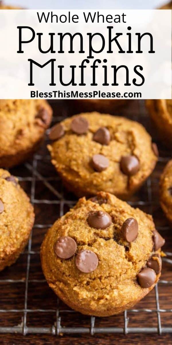 Whole Wheat Pumpkin Muffins — Bless this Mess