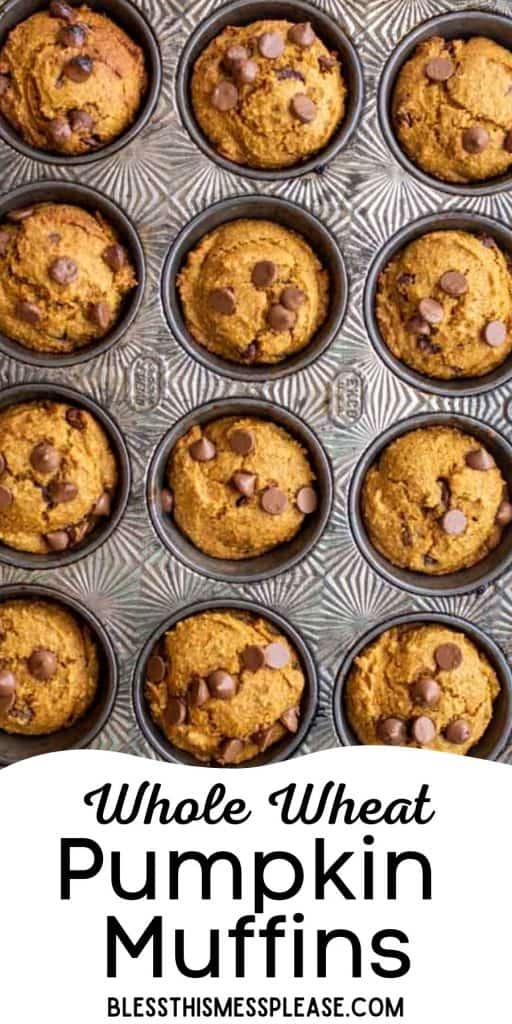 pinterest pin with text that reads "whole wheat pumpkin muffins" - close up of pumpkin muffins in tin