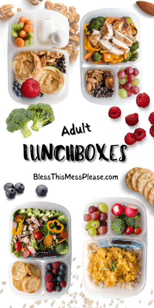 8 Adult Lunch Box Ideas  Healthy Meal Prep Recipes for Work Lunches