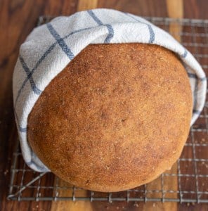 beautiful perfectly round baked bread loaf.