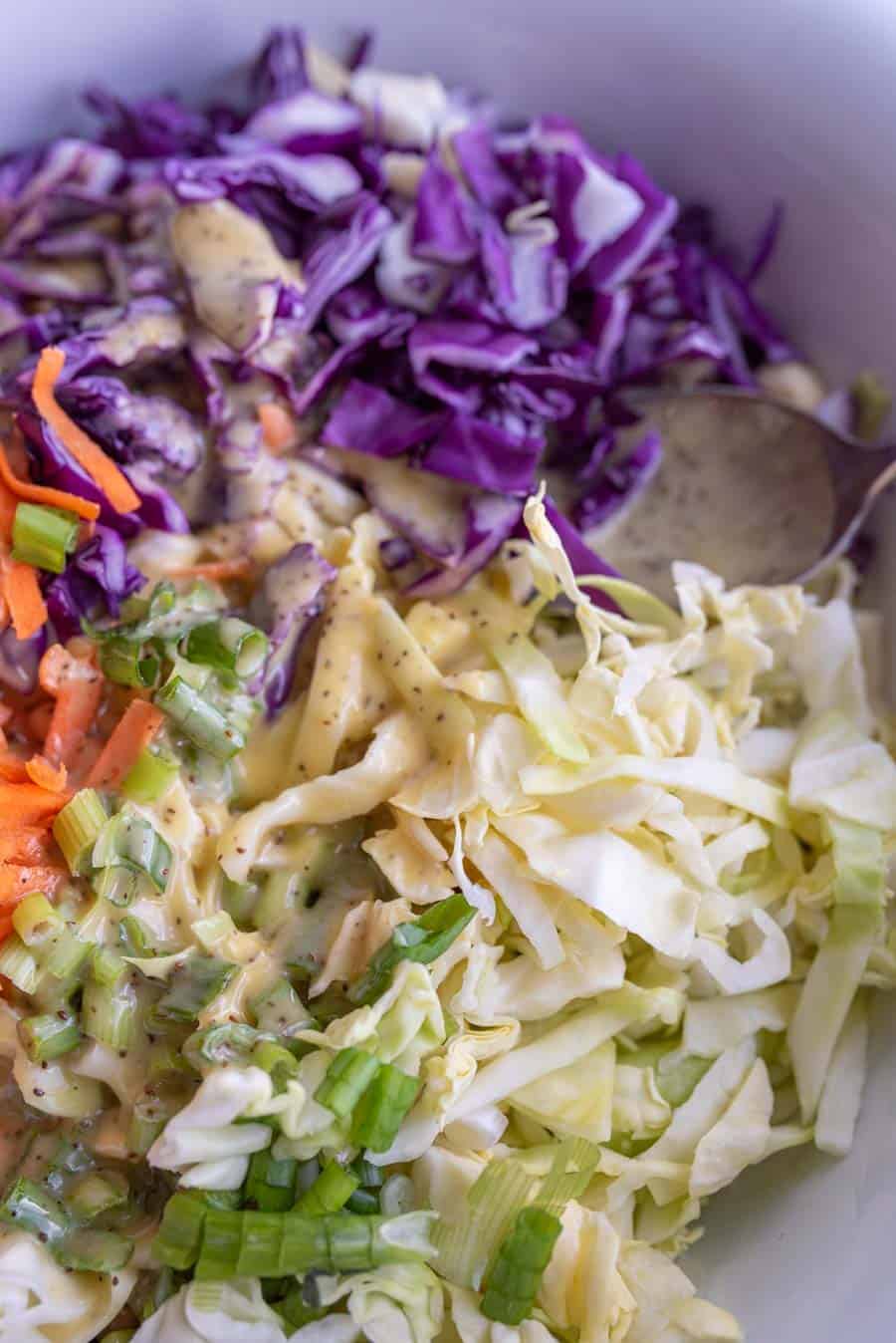 close up of coleslaw ingredients before it is tossed