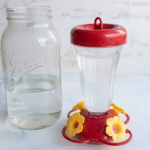 red plastic vase-like humming bird feeder next to a mason jar