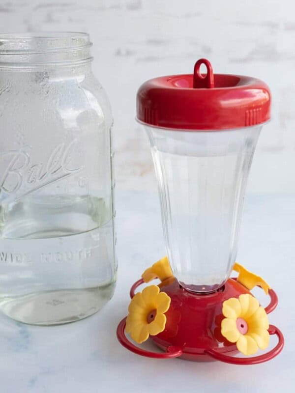 red plastic vase-like humming bird feeder next to a mason jar